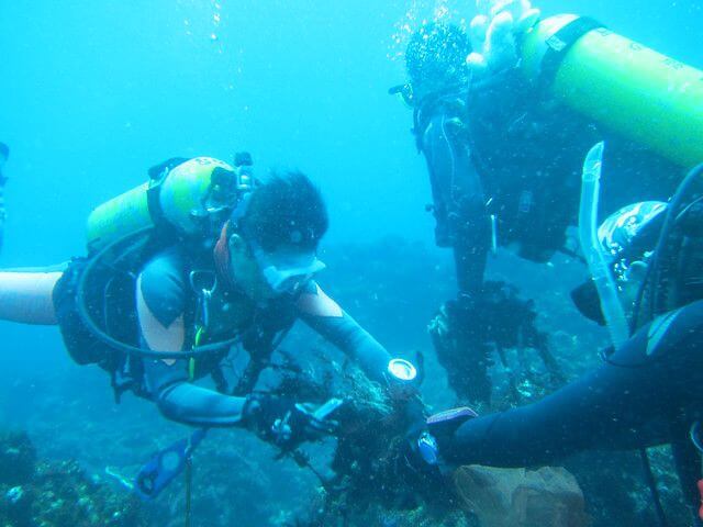 2014澎湖南方四島珊瑚礁體檢成果