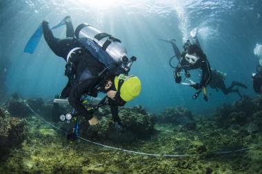 2020 鼻頭珊瑚礁體檢成果報告