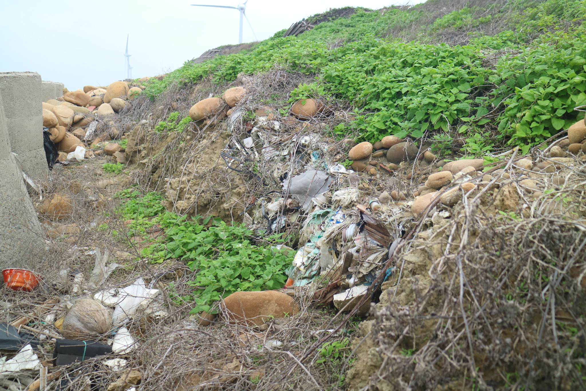 濱海（河）掩埋場調查報告公開 垃圾暫置成環境隱憂