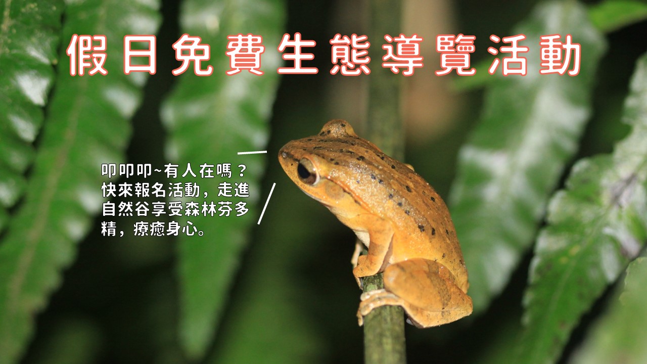 自然谷環境信託基地免費生態導覽